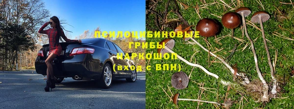 ПСИЛОЦИБИНОВЫЕ ГРИБЫ Беломорск