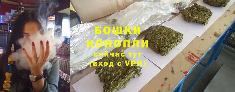 цены   Калач-на-Дону  Конопля OG Kush 